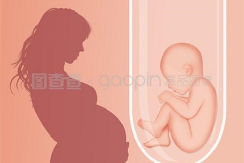 http://shanghai.hy-ly.com/post/208.html|上海人工试管