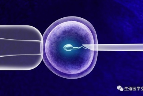 女人上海代生孩子的最佳年龄段 一辈子生几个孩子最好